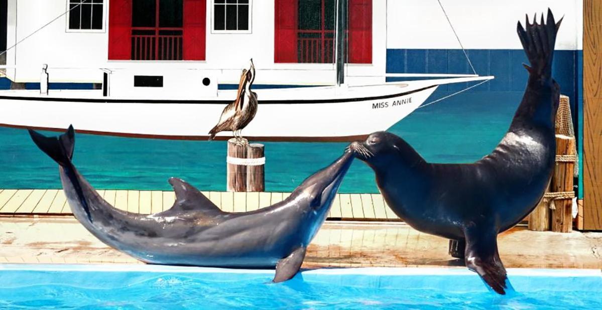 Aquavista 404W Villa Panama City Beach Dış mekan fotoğraf